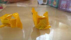 دیانا و روما | دیانا و روما جدید | برنامه کودک دیانا و روما |