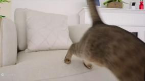 دیانا شو-دیانا روما-روما دیانا جدید-دیانا و روما-کودک دیانا و روما-دیانا