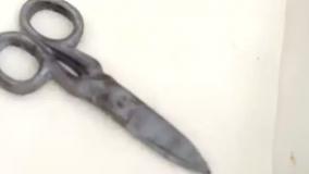 دیانا و روما