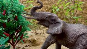 ماشین بازی کودکانه - اسباب بازی ماشین ها ، اسباب بازی ماشین پلیس ، کارتون ماشین