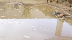 ماشین بازی جدید - اسباب بازی ماشین ها ، اسباب بازی ماشین بازی ، کارتون ماشین