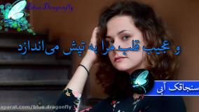 استوری تولد خاص تیر ماهی ها مبارک | آهنگ شاد متولد تیر خاص ترین تولدت مبارک
