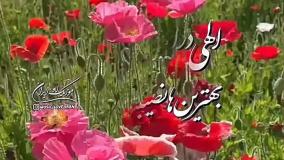 استوری شاد تولدت مبارک برای تولد تیر ماهی ها | کلیپ تولد شاد تولد تیر ماهی