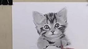آموزش نقاشی گربه به صورت حرفه ای