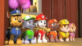 انیمیشن جذاب سگ های نگهبان || سگهای نگهبان دوبله فارسی || کارتون سگ های نگهبان