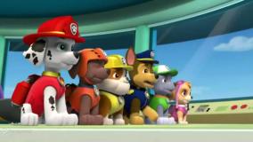 کارتون سگ های نگهبان جدید / برنامه کودک سگهای نگهبان دوبله فارسی