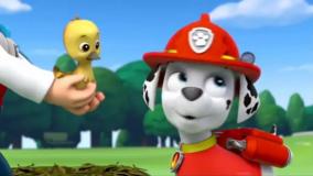 | سگ نگهبان | انیمیشن سگ های نگهبان | سگهای نگهبان | کارتون سگهای نگهبان |