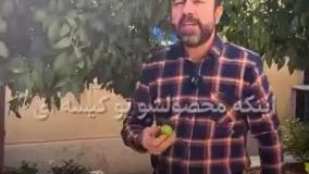 مثل اسنپ تبلیغ کن