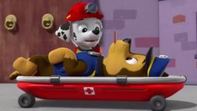 کارتون سگهای نگهبان,سگ نگهبان دوبله فارسی,سگهای نگهبان,انیمیشن سگهای نگهبان