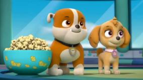 سگ های نگهبان دوبله فارسی / کارتون سگ های نگهبان / انیمیشن سگ های نگهبان