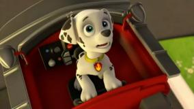 سگ نگهبان | انیمیشن سگ های نگهبان | سگهای نگهبان | کارتون سگهای نگهبان