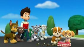 | سگ نگهبان | انیمیشن سگ های نگهبان | سگهای نگهبان | کارتون سگهای نگهبان |