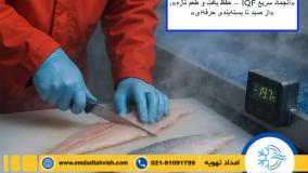 راه‌اندازی و نگهداری سردخانه ماهی و میگو با سریع‌ترین و حرفه‌ای‌ترین خدمات