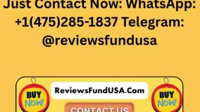 Top 200 Best Website To Buy Verified Cash App Accounts with BTC Enabled For Sale With Low Price