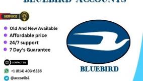 Best place to buy a verified Bluebird account in the US in 2025