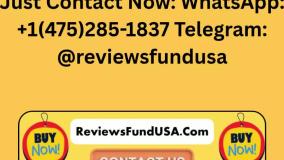 Best Plase in Buy Old Gmail Accounts – PVA Accounts For Sale With Low Price