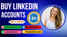 Top USA Online Platform to Buy Linkedin Accounts