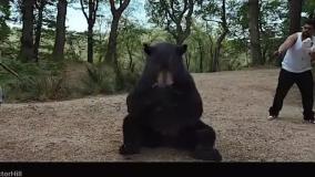 دانلود فیلم خرس کوکائینی از سایت سینما فلیکس