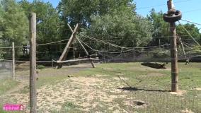 ماجراهای گابی و الکس 18