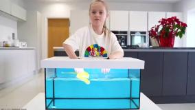 کارتون گابی و الکس - چالش جعبه شگفت انگیز با خانواده ، تفریحی و سرگرمی