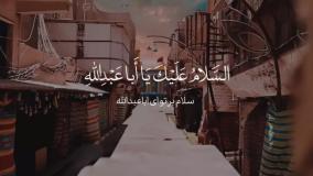 کلیپ تصویری زیبا زیارت عاشورا با صدای دلنشین علی فانی
