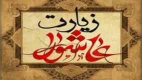 کلیپ تصویری زیارت عاشورا  - علی فانی