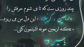 کلیپ محرمی خاص / کلیپ اربعین / استوری برای اربعین