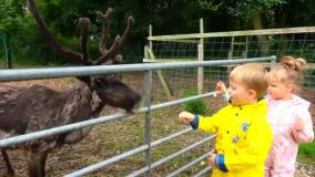 گابی و الکس در حال غذا دادن به حیوانات در مزرعه