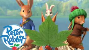 کارتون پیتر خرگوشه - کمپینگ در کنار دریاچه - انیمیشن کودکانه