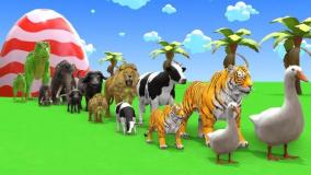 کارتون حیوانات - دانلود حیوانات - چالش سرگرمی حیوانات - بازی حیوانات