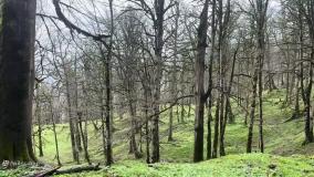 درست کردن کلبه نایلونی و کمپینگ  در جنگل در طوفان