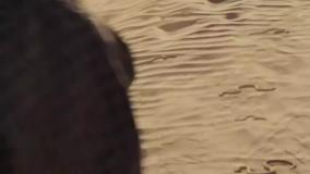 دانلود فیلم زندگی بزی از سایت سینما فلیکس