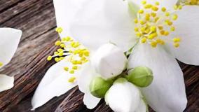 آنباکسینگ و بررسی عطر  یونیک لاکچری اوشن د رایو در عطرآمین