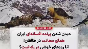 پرنده همای سعادت در ایران