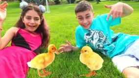 هایدی و زیدان به حیوانات مختلف غذا می دهند | برنامه کودک سرگرمی