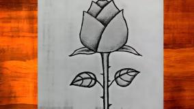 آموزش نقاشی ساده و فانتزی گل رز