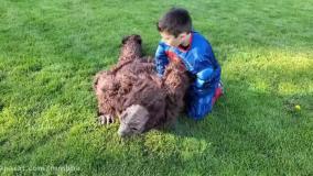 هایدی و زیدان با پدر بازی می کنند