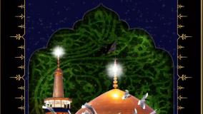 کلیپ برای استوری شهادت امام رضا