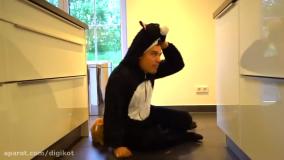 هایدی و زیدان - جیسون بچه گربه برنده می شود