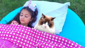 هایدی و زیدان - داستان جدید حیوانات خانگی