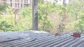 عرشه فولادی بافق 9121505650