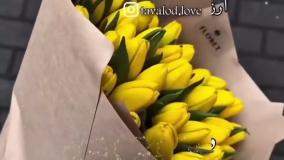 کلیپ احساسی روز دختر | تبریک خاص روز دختر