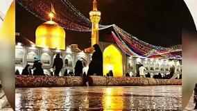 کلیپ شهادت امام رضا برای وضعیت واتساپ با صدای حامد زمانی