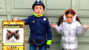 هایدی و زیدان : بهترین داستانهای گربه برای بچه ها