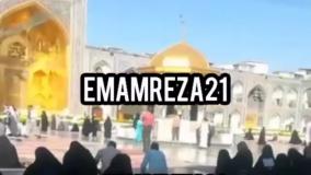 استوری حرم امام رضا ع | اومدم تنهای تنها