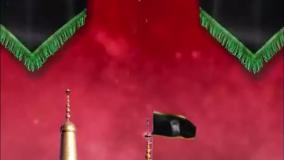 استوری تسلیت شهادت امام رضا (ع)