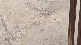 آیا استفاده از میلگرد زنگ‌زده در سازه‌های بتنی ایمن است یا ریسک بزرگی برای دوام ساختمان دارد؟