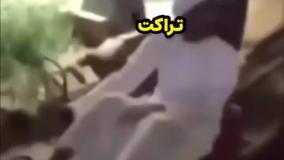 قدرت نایلکس