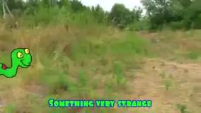 ماجراهای کاتیا و دیما ، تفریح و سرگرمی با کودکان ، کیندر سورپرایز