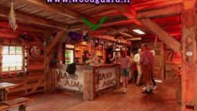 وودگارد WOOD.guard رنگ چوب ترمو: از زیبایی طبیعی تا محافظت کامل